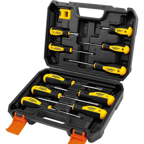 11-piece Magnetic Screwdriver Set with Case, 5 Phillips & 5 Flat Head Tips wi...